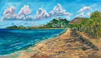 Chenay Bay, Pull Point, and Buck Island from Green Cay Beach, St Croix USVI