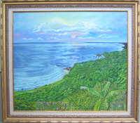 Playa Nosara, Costa Rica (West)