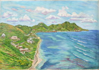Grape Tree Bay from the Lookout Point, St Croix USVI