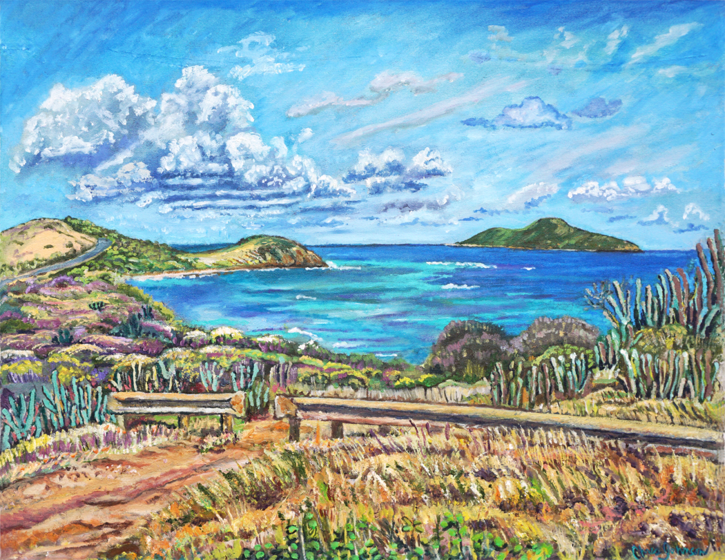 Point Udal Scenic Lookout from Guard Rail, St. Croix USVI
