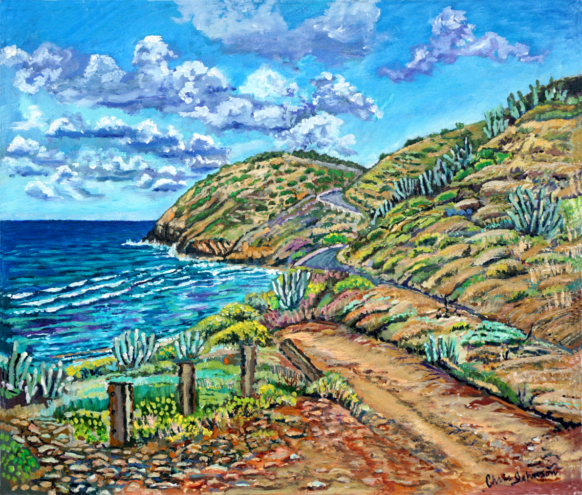 Point Udal Scenic Lookout - Looking East , St. Croix USVI