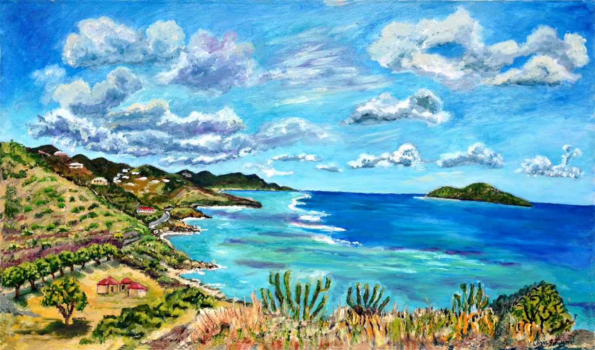 Point Udal Lookout West to Cramer Park, St. Croix USVI