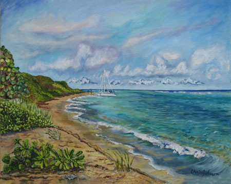 Coakley Bay Estate and Buck Island, St Croix USVI, St. Croix, USVI