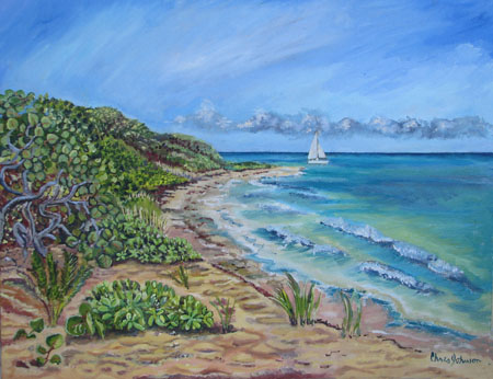 Coakley Bay Estate and Buck Island, St Croix USVI, St. Croix, USVI