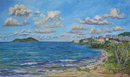 Coakley Bay Estate and Buck Island, St Croix USVI, St. Croix, USVI