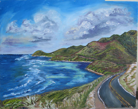 Looking West from Grassy Point Hill,St. Croix, USVI